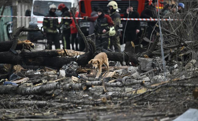 "Grandma, We've Been Hit": Russian Strikes Rattle Kyiv