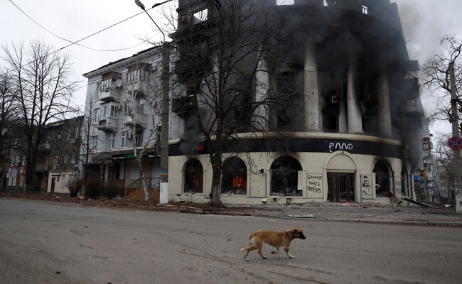 After Year Of War, Ukraine City Residents Stay Put Despite Shelling