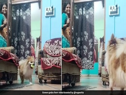 महिला अपने कुत्ते के साथ खेल रही थी लुका-छिपी का खेल, Video ने हर्ष गोयनका का दिल जीत लिया महिला अपने कुत्ते के साथ खेल रही थी लुका-छिपी का खेल, Video ने हर्ष गोयनका का दिल जीत लिया