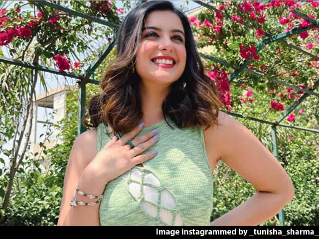 Actor Tunisha Sharma Had Lunch With Boyfriend The Day She Died: Sources