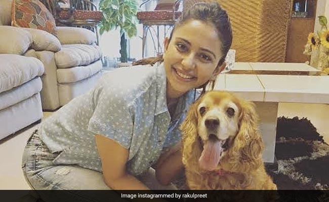 Rakul Preet Singh's Emotional Note For Her Late Pet Dog Blossom: "I Have Grown Up With You"