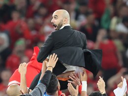 Morocco 'Rocky Balboa Of This World Cup', Says Walid Regragui