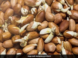 अंकूरित मूंग ही नहीं बल्कि मूंगफली भी है सेहत के लिए अच्छी, जानिए फायदे और खाने का तरीका अंकूरित मूंग ही नहीं बल्कि मूंगफली भी है सेहत के लिए अच्छी, जानिए फायदे और खाने का तरीका