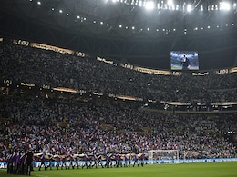Russian Protesters Detained At World Cup Final, Say Activists Russian Protesters Detained At World Cup Final, Say Activists