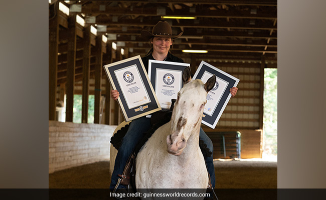 Endo, A Blind Horse, Creates Three World Records