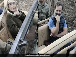 76वें जन्मदिन पर रणथंभौर पार्क में जीप सफारी का आनंद लेती दिखीं सोनिया गांधी, राहुल भी रहे साथ 76वें जन्मदिन पर रणथंभौर पार्क में जीप सफारी का आनंद लेती दिखीं सोनिया गांधी, राहुल भी रहे साथ