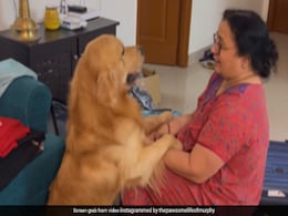 घर से जाने के लिए सामान पैक कर रही थीं दादी, देखते ही परेशान हो गया कुत्ता, गोद में कूदा और फिर जो किया... घर से जाने के लिए सामान पैक कर रही थीं दादी, देखते ही परेशान हो गया कुत्ता, गोद में कूदा और फिर जो किया...