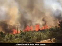 चिली के जंगलों में लगी भीषण आग, अब तक 19 लोगों की मौत