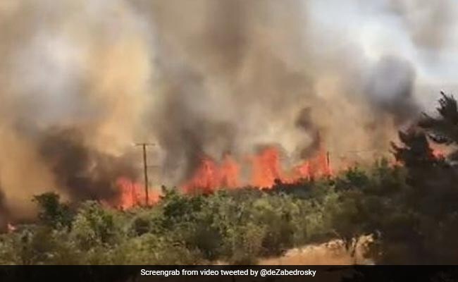 चिली के जंगलों में लगी भीषण आग, अब तक 19 लोगों की मौत