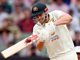 Australia Will Play Green As Pure Batter In 1st Test Against India, Feels Adam Gilchrist