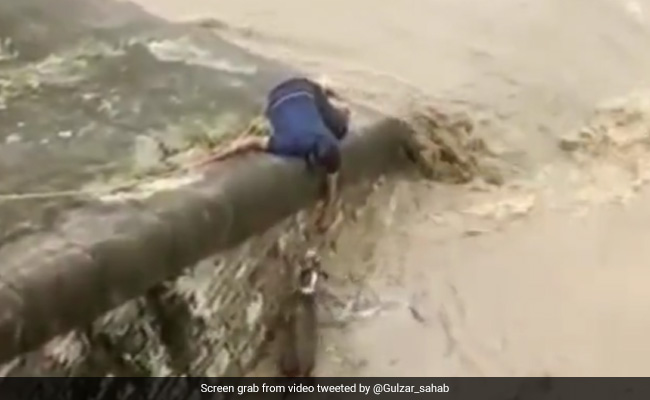 Viral Video: Man Risks Life To Save Dog Stuck In A Dam, Internet Lauds Him