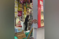 Despite Ban, Here's How Easily One Can Buy Acid