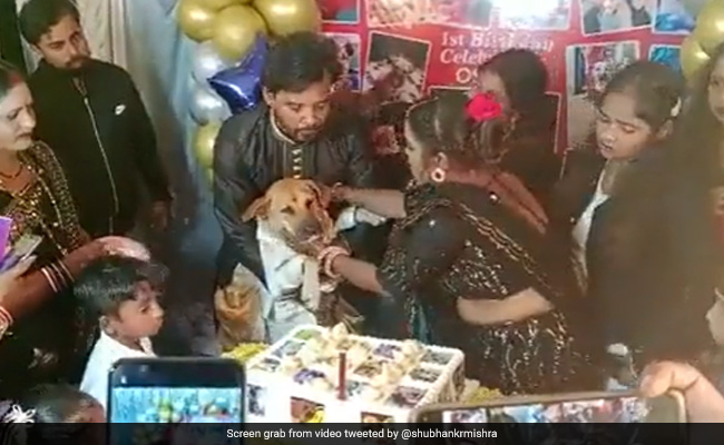 Family Throws Lavish Birthday Party For Pet Dog In Dhanbad, Invites 350 Guests