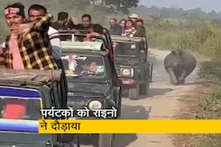 Video: 3 KM तक गैंडा करता रहा पर्यटकों की कारों का पीछा, डर से चिल्लाते रहे टूरिस्ट Video: 3 KM तक गैंडा करता रहा पर्यटकों की कारों का पीछा, डर से चिल्लाते रहे टूरिस्ट