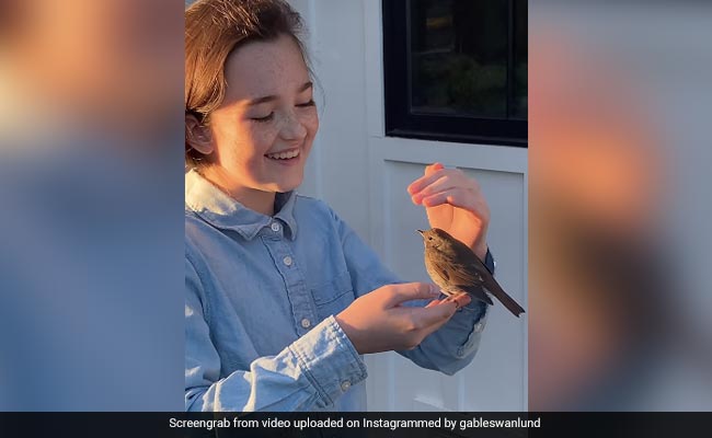 Watch: Beautiful Interaction Between A Little Bird And Girl Is Too Cute To Miss