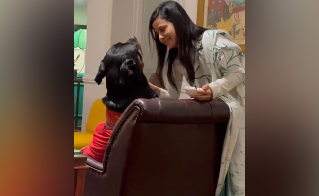Video: Trinamool's Mahua Moitra With Her Furry Friend Amid Busy Schedule