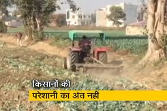 लागत नहीं निकाल पाने से बढ़ी किसानों की परेशानी, फसलों पर चला रहे ट्रैक्टर  लागत नहीं निकाल पाने से बढ़ी किसानों की परेशानी, फसलों पर चला रहे ट्रैक्टर