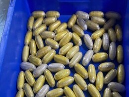 विदेशी महिला दिल्ली एयरपोर्ट पर पेट में छिपाकर लाई कोकीन के 82 कैप्सूल, 15 करोड़ से ज्यादा है कीमत विदेशी महिला दिल्ली एयरपोर्ट पर पेट में छिपाकर लाई कोकीन के 82 कैप्सूल, 15 करोड़ से ज्यादा है कीमत