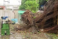 Cyclone Mandous Uproots Trees, Leaves Chennai Roads Waterlogged Cyclone Mandous Uproots Trees, Leaves Chennai Roads Waterlogged