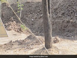 इस तस्वीर में छिपे तेंदुए को ढूंढिए तो जानें, कुछ लोग इतने कन्फ्यूज़ हुए कि, आंखों की जांच करवाने पहुंच गए इस तस्वीर में छिपे तेंदुए को ढूंढिए तो जानें, कुछ लोग इतने कन्फ्यूज़ हुए कि, आंखों की जांच करवाने पहुंच गए