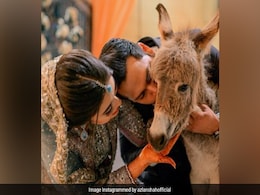 पाकिस्तानी दूल्हे ने शादी में अपनी दुल्हन को तोहफे में दिया 'गधा', वजह जान हैरान रह जाएंगे आप पाकिस्तानी दूल्हे ने शादी में अपनी दुल्हन को तोहफे में दिया 'गधा', वजह जान हैरान रह जाएंगे आप