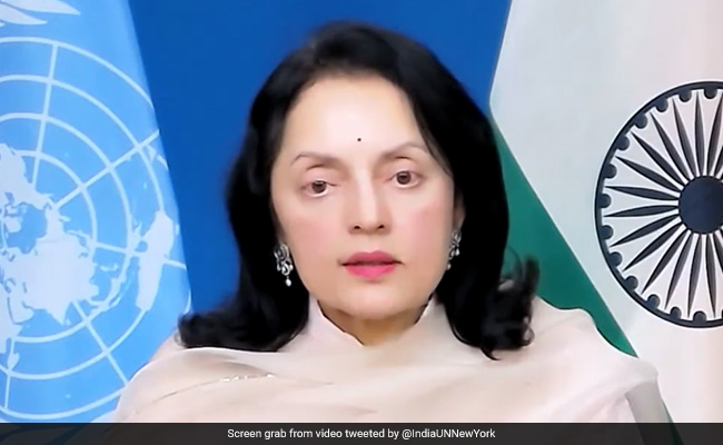 "Historic Moment For Humanity": Country's UN Envoy On Chandrayaan-3