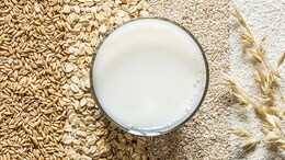 'Oat Milk', 'Plant-Based' And More: Merriam-Webster Adds 9 New Food Words To Dictionary