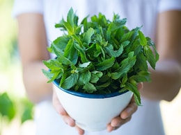 सुबह खाली पेट इन 5 हर्बल पत्तों को चबाना सेहत के लिए होता है अच्छा, अलग-अलग दिक्कतों से मिलता है छुटकारा  सुबह खाली पेट इन 5 हर्बल पत्तों को चबाना सेहत के लिए होता है अच्छा, अलग-अलग दिक्कतों से मिलता है छुटकारा