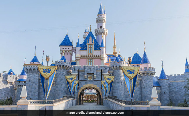 Disneyland Is Charging Rs 15,000 For A Mini Waffle Dessert, Internet Stunned
