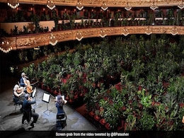 Old Video Of Barcelona Opera House Performing For 2,292 Plants Goes Viral Old Video Of Barcelona Opera House Performing For 2,292 Plants Goes Viral