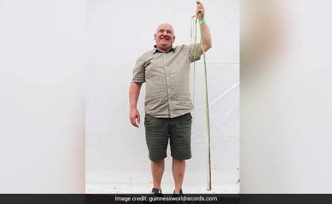 A Leek From UK Has Set Record For Being The Longest In The World