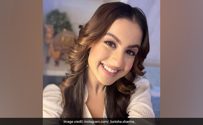 TV Actor Tunisha Sharma Found Hanging: Her Last Instagram Story Was...