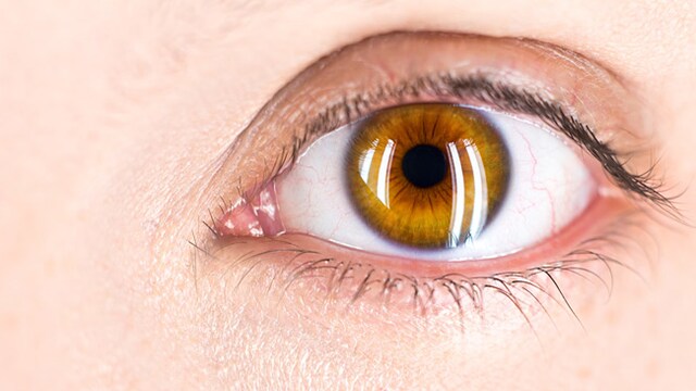 Lack of proper eye care can affect your eye sight