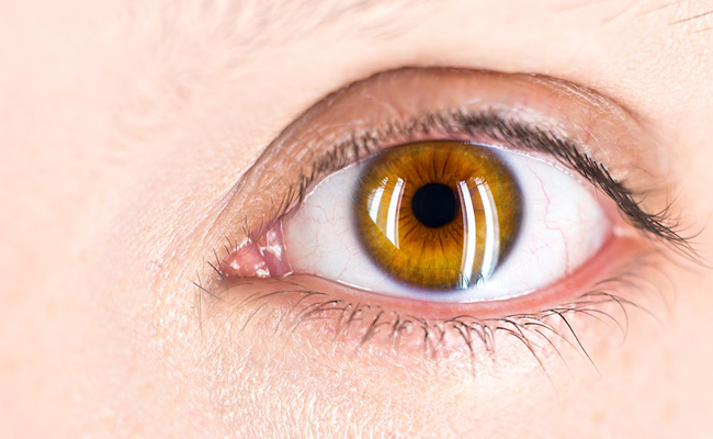 Lack of proper eye care can affect your eye sight