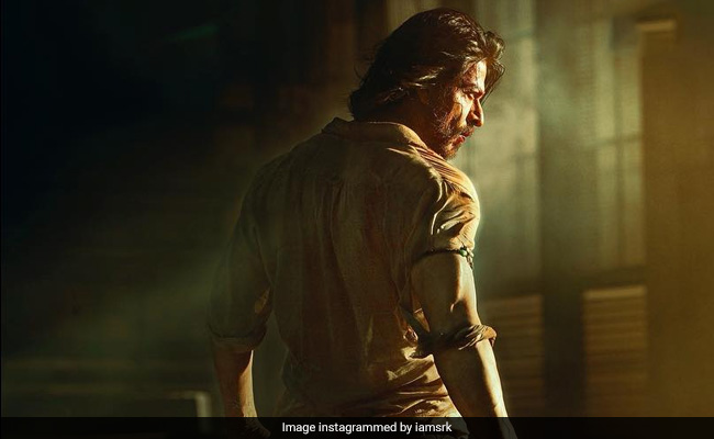 Shah Rukh Khan's <i>Pathaan</i> Is "Very Patriotic" (His Words) But...