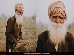 खेत में काम करते हुए पंजाब के किसान ने फोटोग्राफर को कुछ इस तरह दिए पोज़, Video देख आप मुस्कुरा उठेंगे खेत में काम करते हुए पंजाब के किसान ने फोटोग्राफर को कुछ इस तरह दिए पोज़, Video देख आप मुस्कुरा उठेंगे