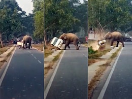 बीच सड़क पर गुस्साए हाथी ने सड़क से गुजरती गाड़ी को मारी जोरदार टक्कर, देखें VIDEO बीच सड़क पर गुस्साए हाथी ने सड़क से गुजरती गाड़ी को मारी जोरदार टक्कर, देखें VIDEO