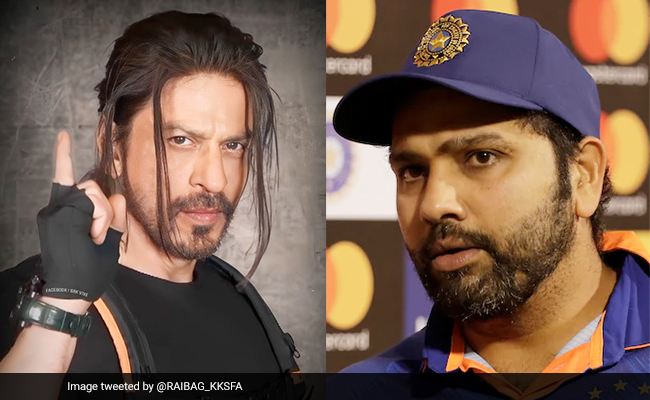 फैन ने शाहरुख खान से रोहित शर्मा के बारे में एक लाइन में बताने को कहा, SRK ने दिया दिलचस्प जवाब