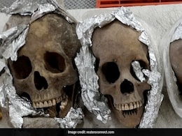 एयरपोर्ट निकली 4 मानव कंकाल की खोपड़ी, देखकर लोग चौंक गए, आखिर इसका रहस्य क्या है? एयरपोर्ट निकली 4 मानव कंकाल की खोपड़ी, देखकर लोग चौंक गए, आखिर इसका रहस्य क्या है?