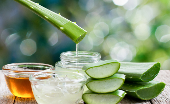 बेली फैट कम करने के लिए किया जा सकता है एलोवेरा का सेवन, कैसे और कब यह जान लीजिए यहां, Belly Fat घटने लगेगा 