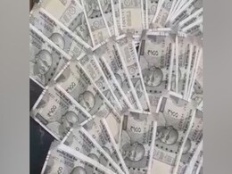 दुलहनिया लाने के लिए घोड़े पर चढ़ रहे थे दूल्हे राजा तभी नोटों की माला झपटकर भागा चोर और फिर... दुलहनिया लाने के लिए घोड़े पर चढ़ रहे थे दूल्हे राजा तभी नोटों की माला झपटकर भागा चोर और फिर...