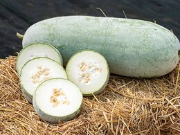 What Is Winter Melon? What Does It Taste Like? Health Benefits Of Winter Melon What Is Winter Melon? What Does It Taste Like? Health Benefits Of Winter Melon