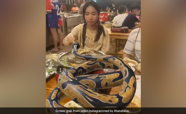 Video Of Women Dining With Python On Table Goes Viral. Here's The Truth