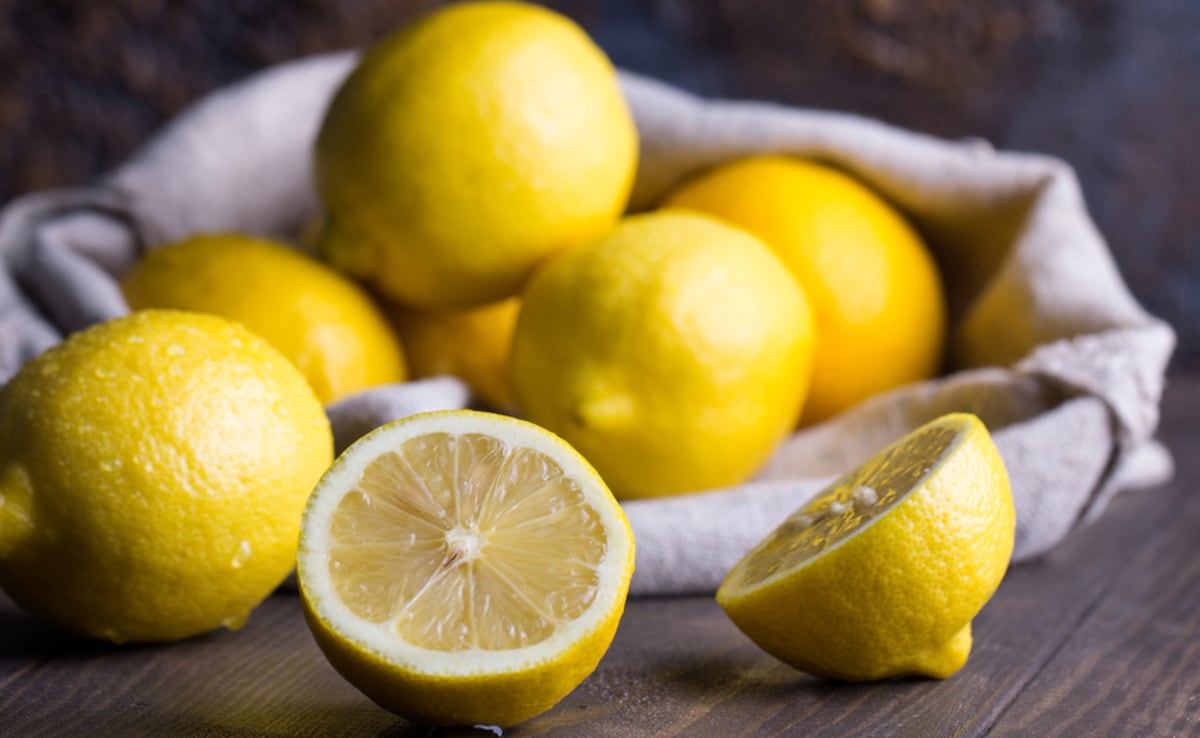 घर पर नींबू कैसे लगाएं? यहां जानें गमले में नींबू उगाने का सही तरीका क्या है...