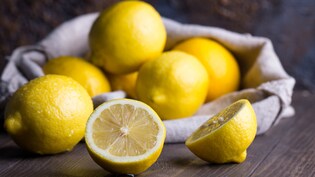 घर पर नींबू कैसे लगाएं? यहां जानें गमले में नींबू उगाने का सही तरीका क्या है...