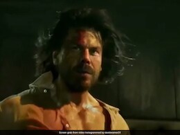 Watch: David Warner's Hilarious Tribute To Shahrukh Khan's Pathaan Leaves Fans Impressed