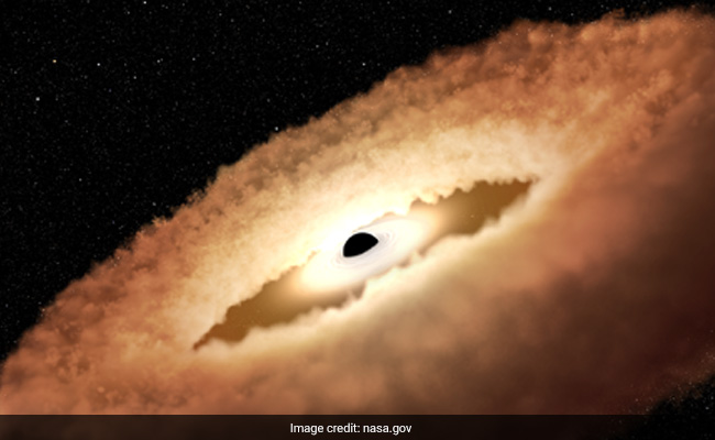 NASA's Hubble Telescope Discovers Black Hole Twisting A Star Into Donut Shape