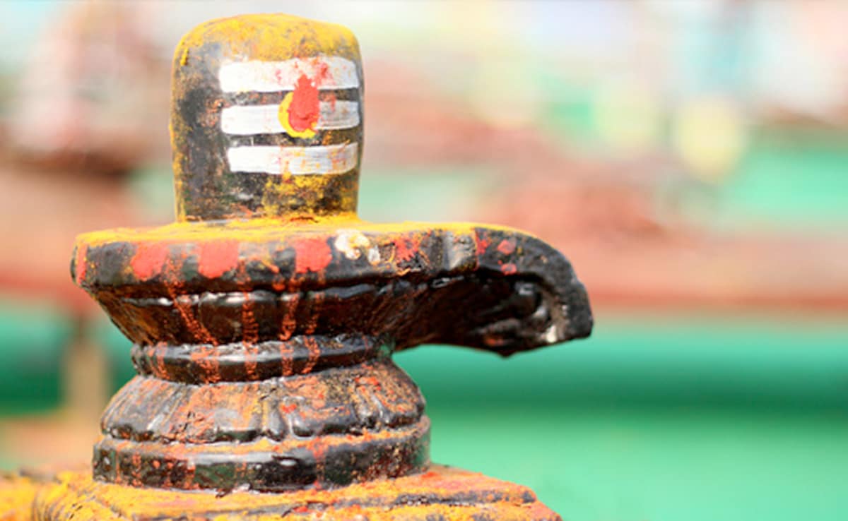 Latest and Breaking News on NDTV