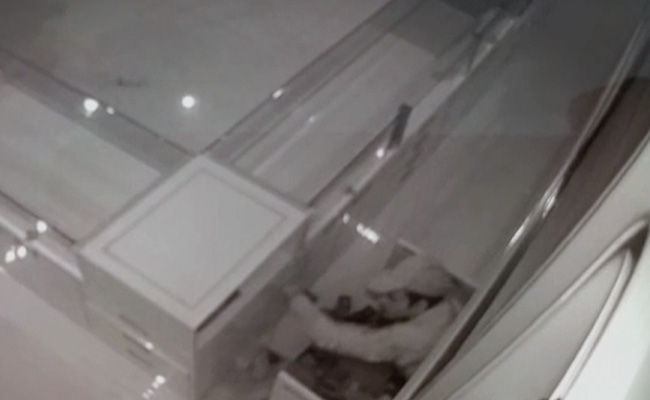 कैमरे में कैद : चोर ने बगल की दुकान किराए पर लेकर ज्‍वेलरी शॉप तक बनाई सुरंग, ऐसे हुआ गिरफ्तार