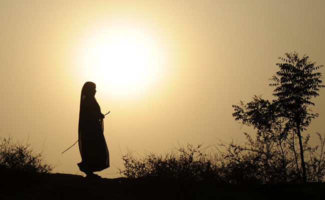 Last 8 Years Were Warmest-Ever Recorded Globally: Report
